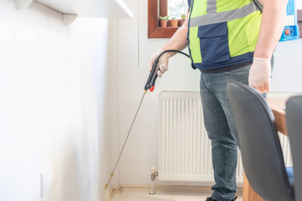Best Mosquito Control Services  in Brookwood, AL