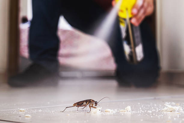 Best Cockroach Control Services  in Brookwood, AL